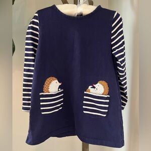 Mini Boden Navy Dress with Striped Sleeves and Hedgehog Pockets